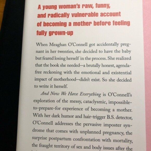 And Now We Have Everything Motherhood Memoir New Book Gift for Pregnancy - Picture 12 of 15